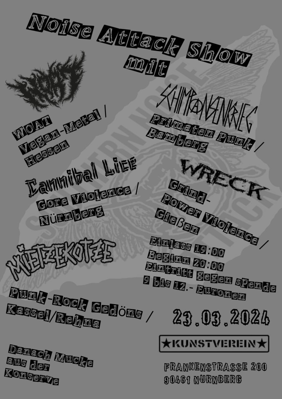 Southern Noise Attack