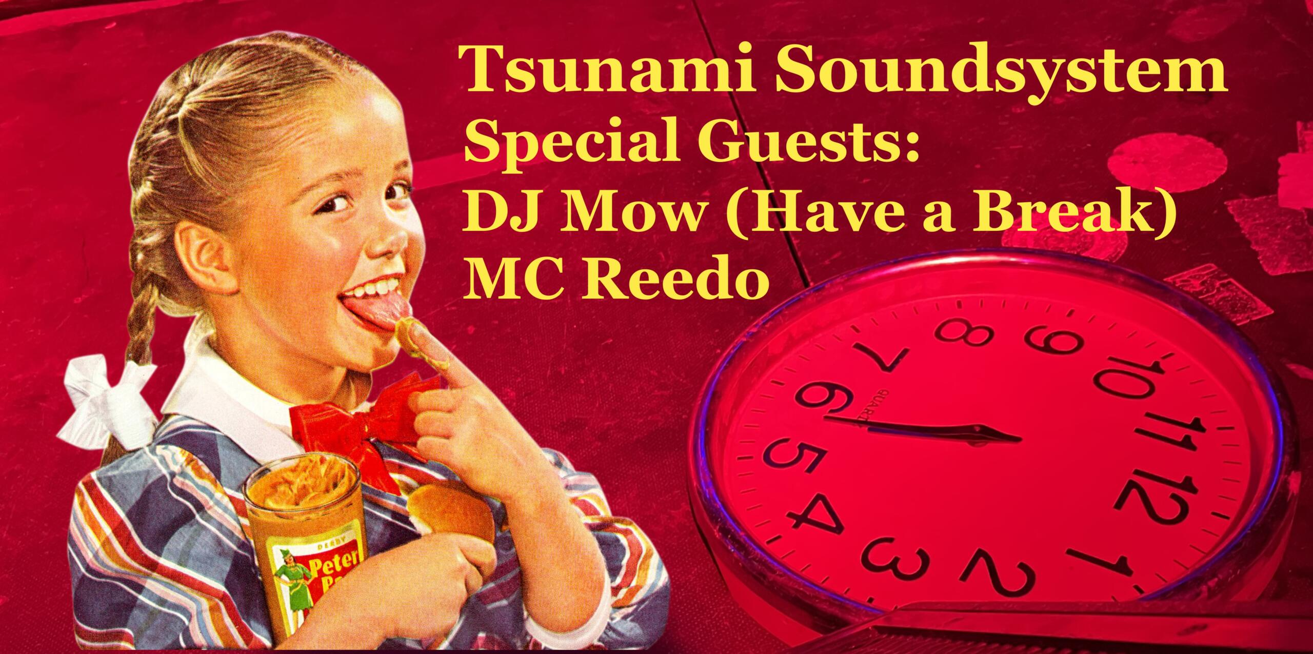 Tsunami Soundsystem - Special guest DJ Mow